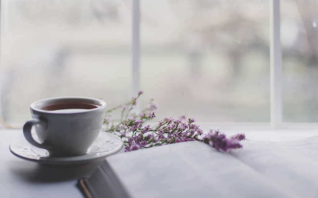 How to Learn More about Tea